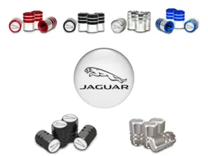 Jaguar Covers Valve Roue Vélo Design Standard